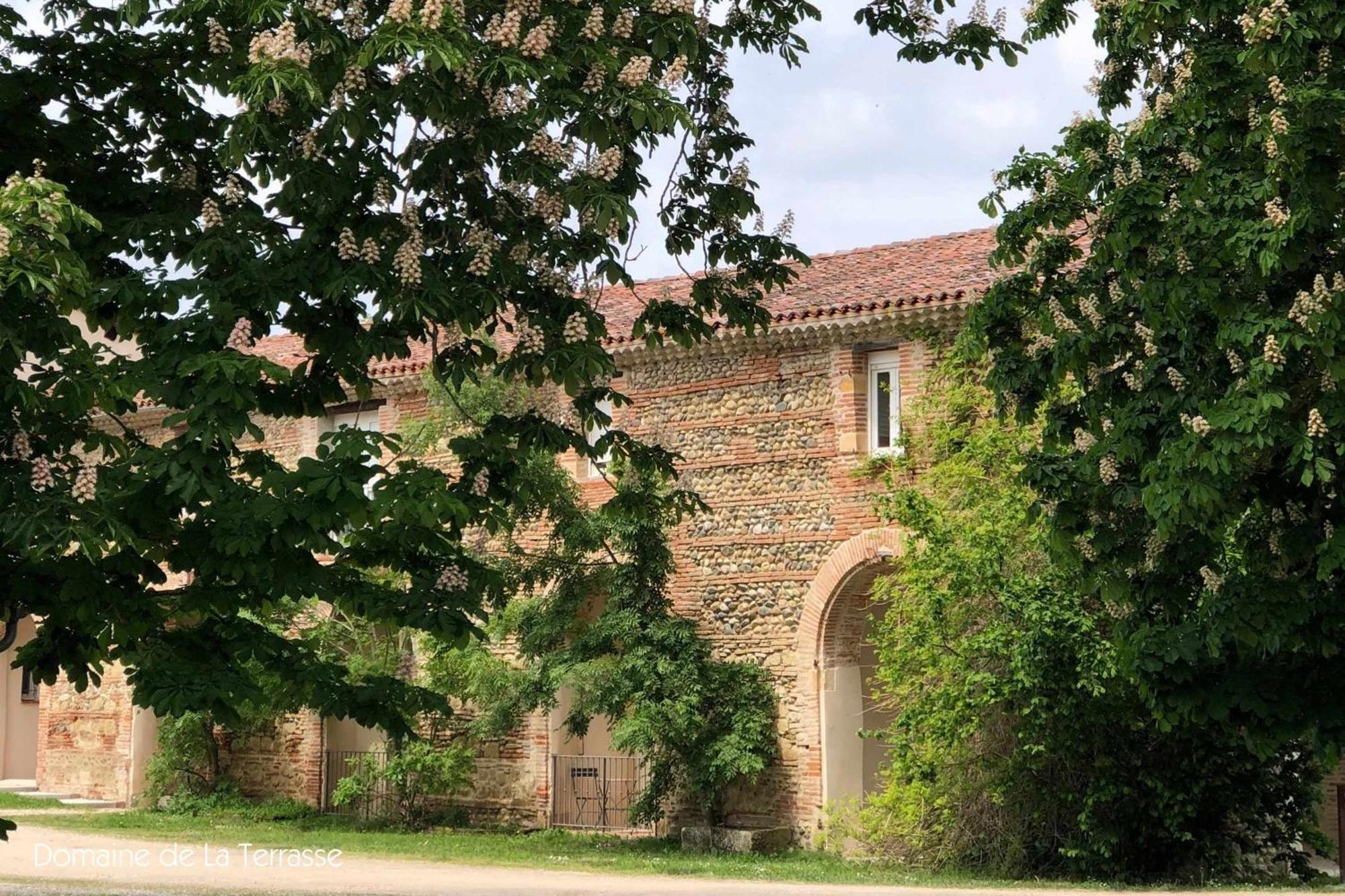 Domaine De La Terrasse Lägenhet Carbonne Exteriör bild