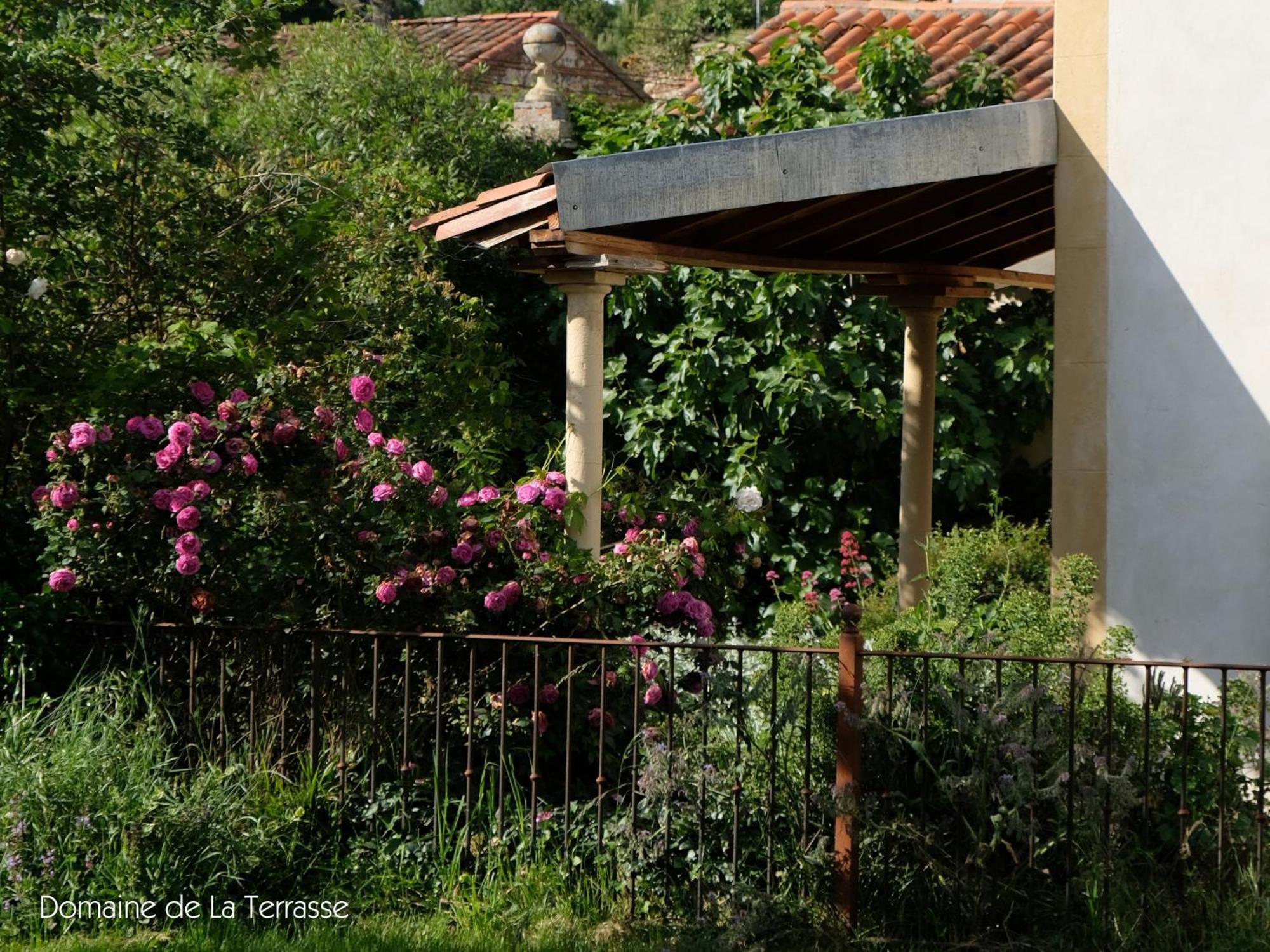 Domaine De La Terrasse Lägenhet Carbonne Exteriör bild