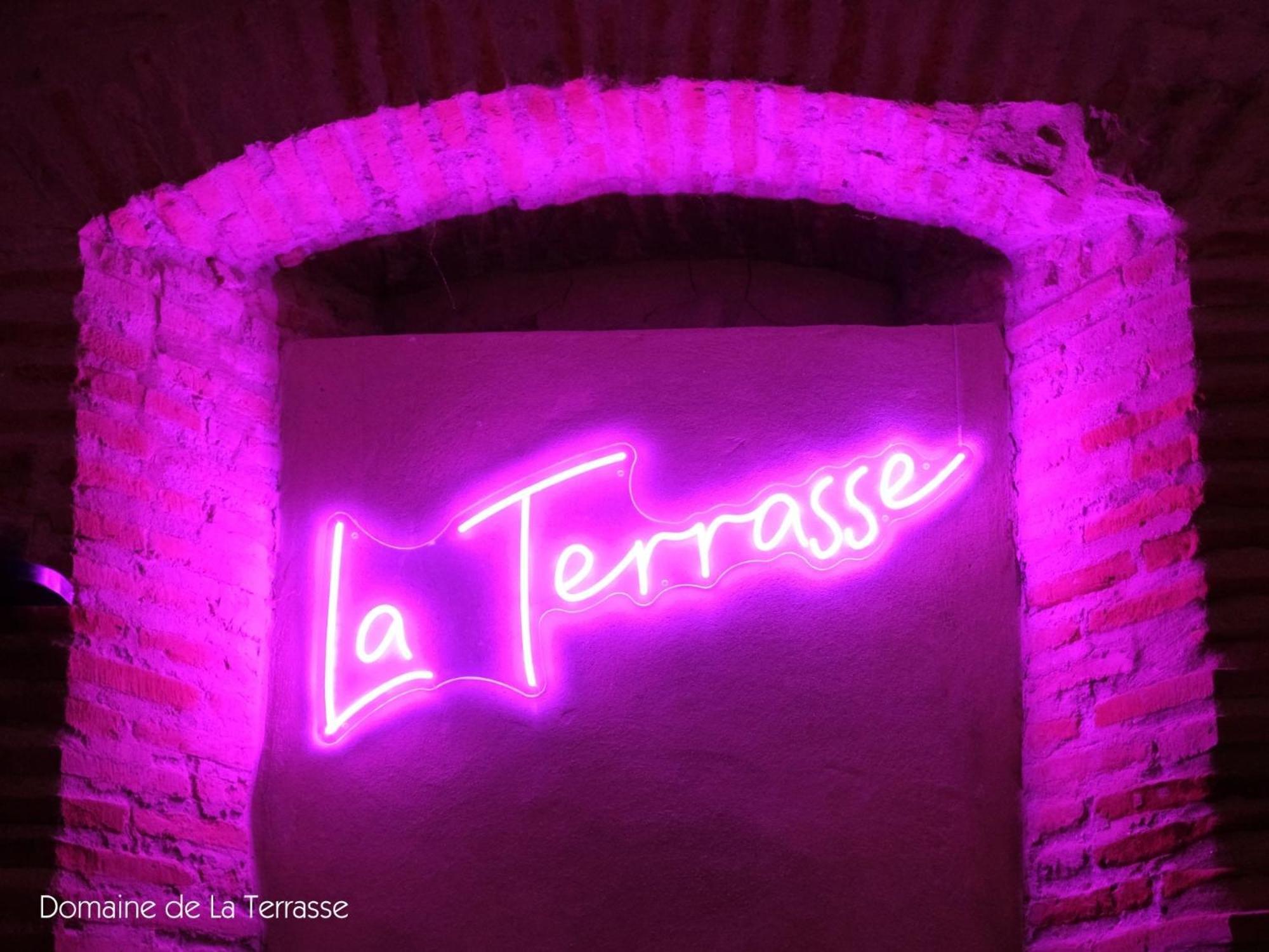 Domaine De La Terrasse Lägenhet Carbonne Exteriör bild